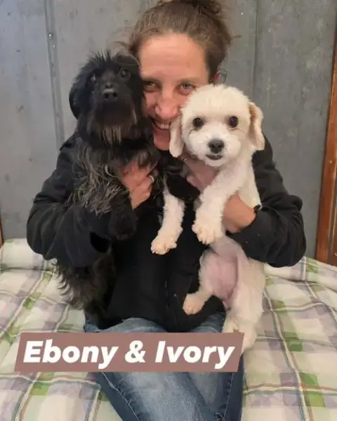 Ebony *Bonded* W/ Ivory photo 2