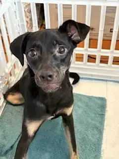 Kali photo 5