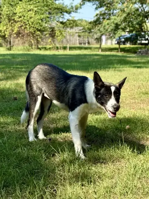 Delanie photo 4