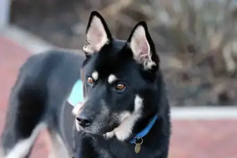 Melo photo 5