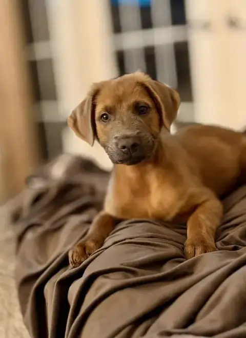 Arlo photo 2