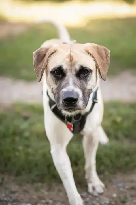 Chance photo 3