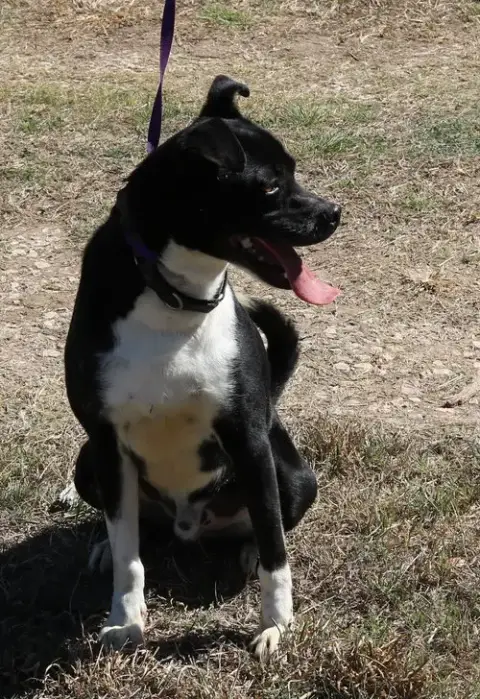 Mack photo 3