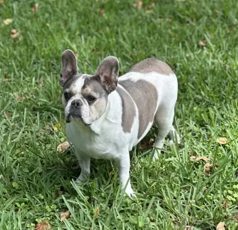 Skylar photo 4
