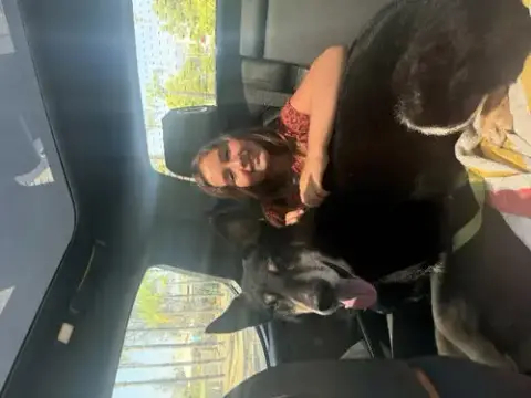 Milo photo 3