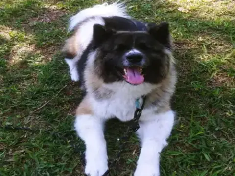 Zoey