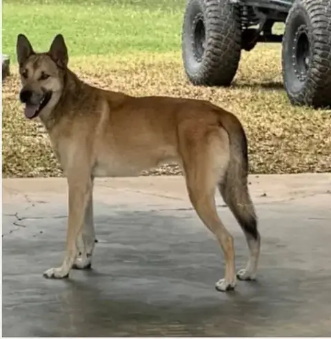Diego