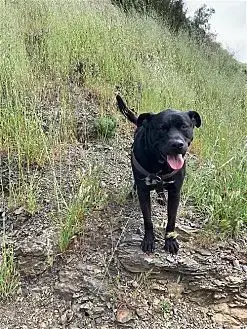Max Boy photo 3