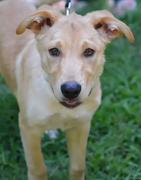 Tucker photo 3