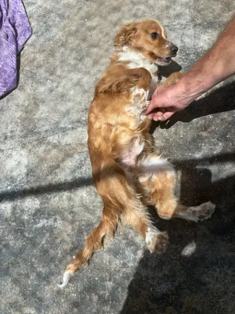 Sunshine photo 2