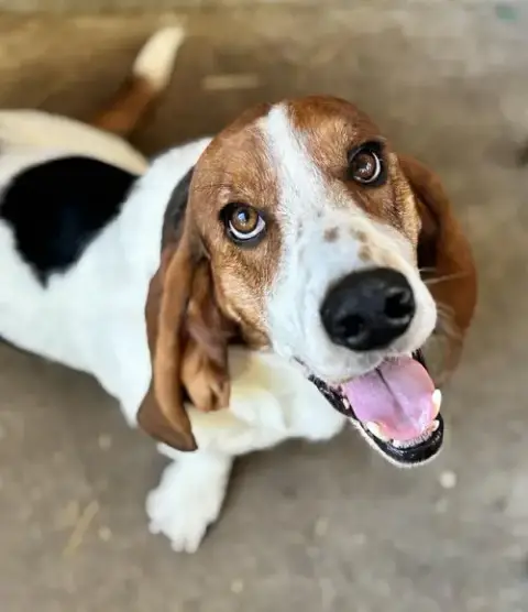 Rio