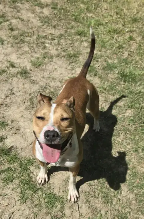 Da 27 Macie Moo photo 2