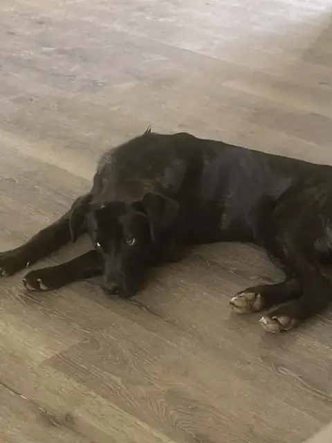 Mabel photo 1
