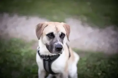 Chance photo 4