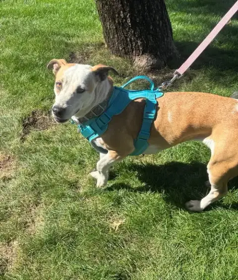 Sabrina photo 5
