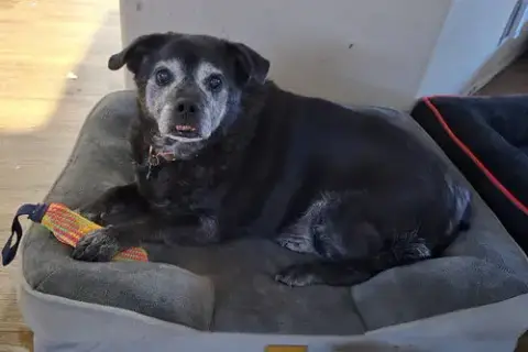 Ernie photo 2