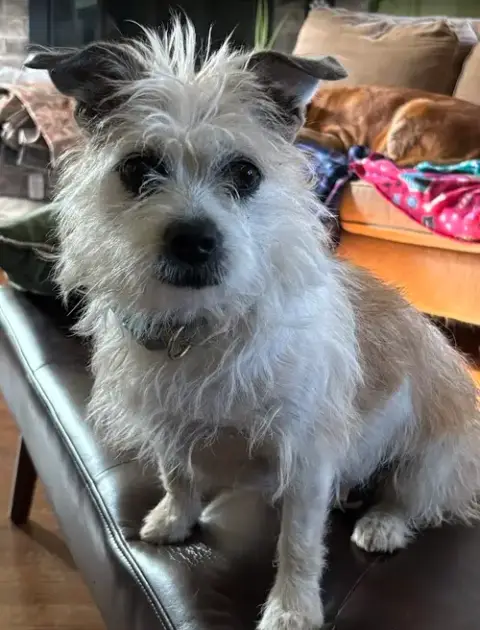Bella photo 4