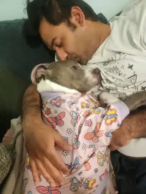 Cocoa photo 3