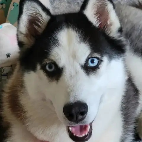 Ellie photo 3