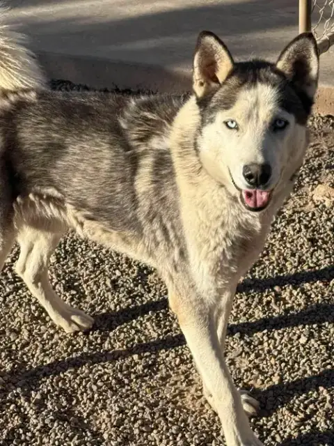 Dante photo 2
