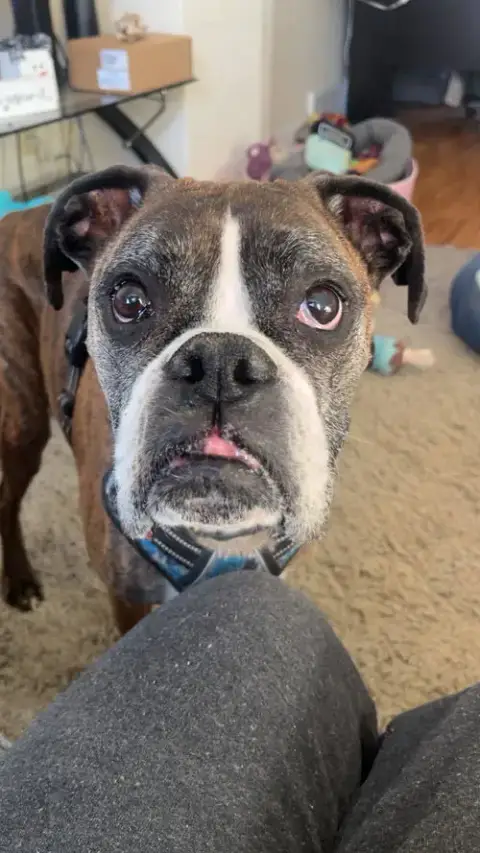 Buddy photo 2