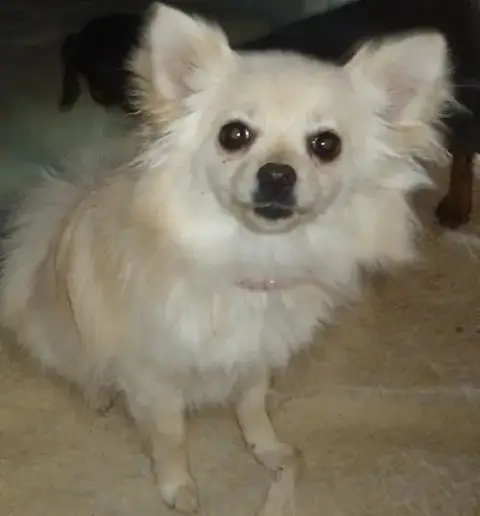 Mya. Now 15 photo 2