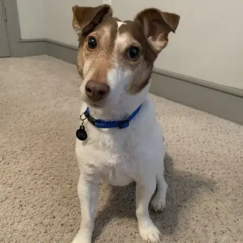 Ryzo