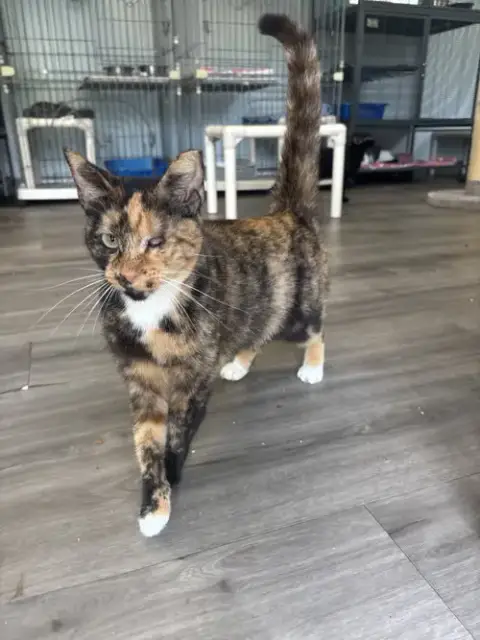 Ellie Mae