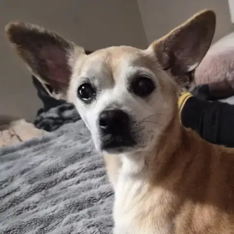 Charlie photo 2