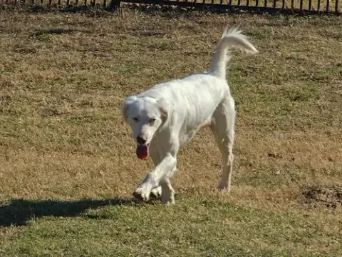 Sally photo 2