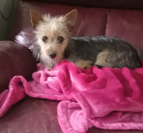 Millie In Tx photo 3