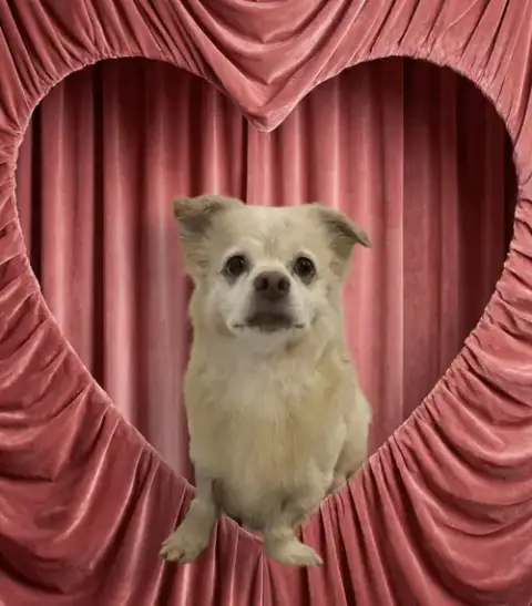 Lucky photo 4