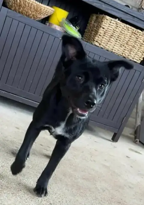 Frida