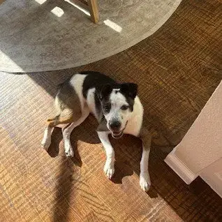 Maggie photo 3