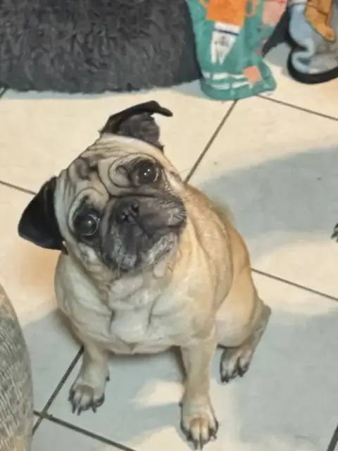 Oatmeal