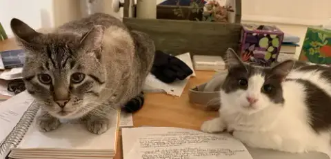 Milo And Sweetie photo 2