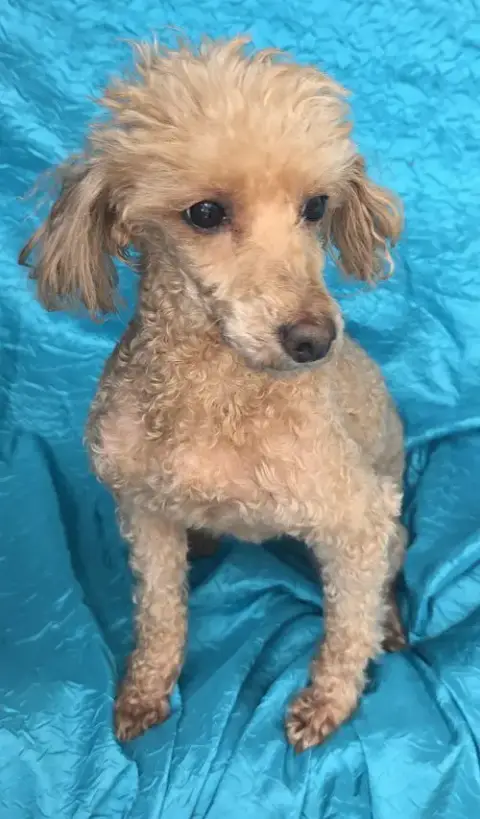 Maggie photo 3