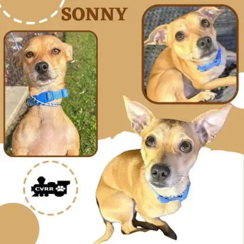 Sonny