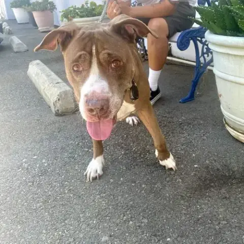Bebe photo 5