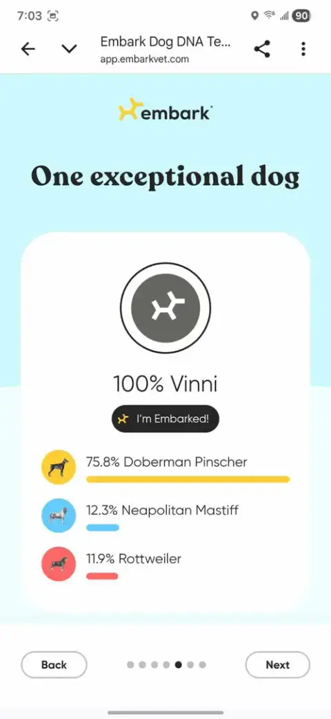 Vinni photo 5