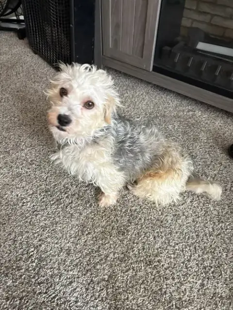 Gus photo 2