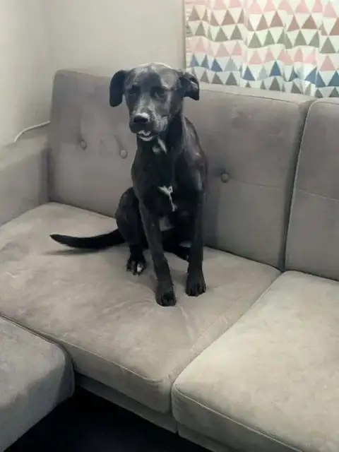 Mabel photo 2