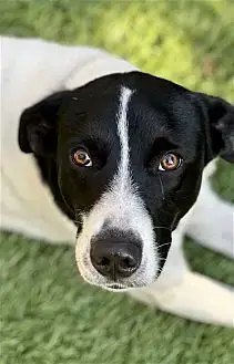 Charlie photo 3
