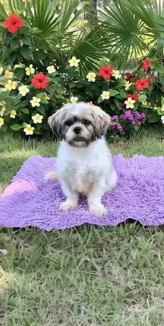 Marnie photo 4