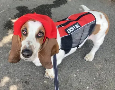 Gus