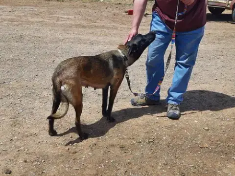 Bonnie Bell In New Mexico photo 3