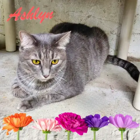 Ashlyn photo 1