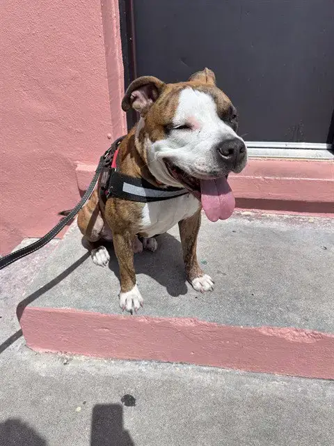 Ben