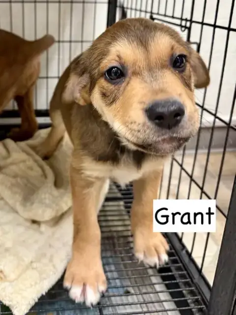 Grant photo 3
