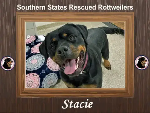Stacie